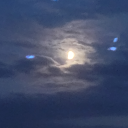 thoughts-on-stupid-stuff avatar