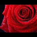 thoughtsstraightfromheart avatar