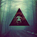 thoughtswhisperer avatar