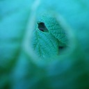 thousand-page-dreams avatar