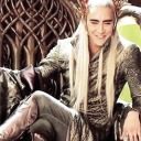 thranduil-in-221b avatar