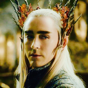 thranduilmemeking avatar