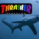thrashershark avatar