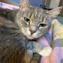 three-deepbreaths avatar