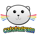 threefunnycats avatar