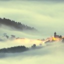 throughjuleslens avatar