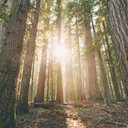 throughthewormhole avatar