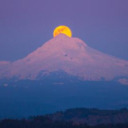 thsongofmylife avatar