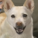 thunder-storm1 avatar