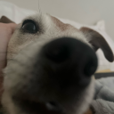 thymetogetmyblogbackplease avatar