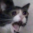 ticklesthebarbarian avatar