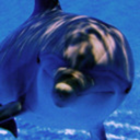 tidesoferebus100 avatar