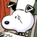 tigirl-and-co avatar