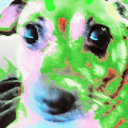 tiktokswithoutjumpscares avatar