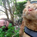 timelordswillwasteyou avatar