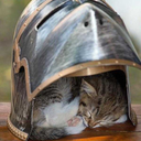 timeofloveandwar avatar