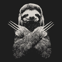 timetravelersloth avatar