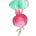 timidturnip avatar