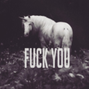 timorous-beasties avatar