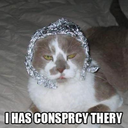 tinfoil-hat-brigade avatar