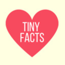 tiny-facts avatar