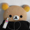 tiny-traveller avatar