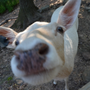 tinybabeycloud avatar