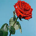 tinydumplings avatar