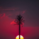 tinyfestivalduck avatar