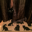 tinyhousepanther-blog avatar