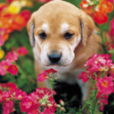 tinykittybarbarian avatar