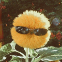 tinyorangeslices avatar