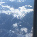 tinypatrolwobblerexpert avatar