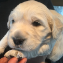 tinyzipperdonutland avatar