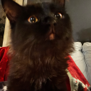 tiredoflifelol avatar