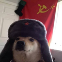 tiredrussian avatar