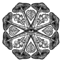 toadstoolgardens avatar