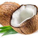 toastedcoconutflakes avatar