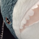 toastershark7 avatar