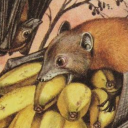 toasty-owoasty avatar