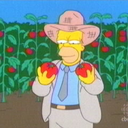 tobaccotomato avatar