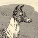 toddhowardschildhoodbully avatar