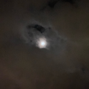 tojisblackwife avatar