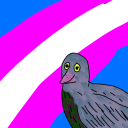 tokupidgeon avatar