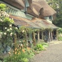 tokyoghoulbook avatar