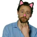 tom-hiddleston-cats avatar