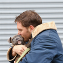 tomhardylovesdogss avatar