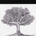 tommorowisthethingthatidread avatar