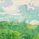 tommysrecollection-blog avatar