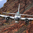 tommysturnnext avatar